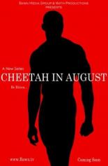 Cheetah in August